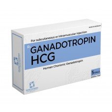 PurePharma - HCG